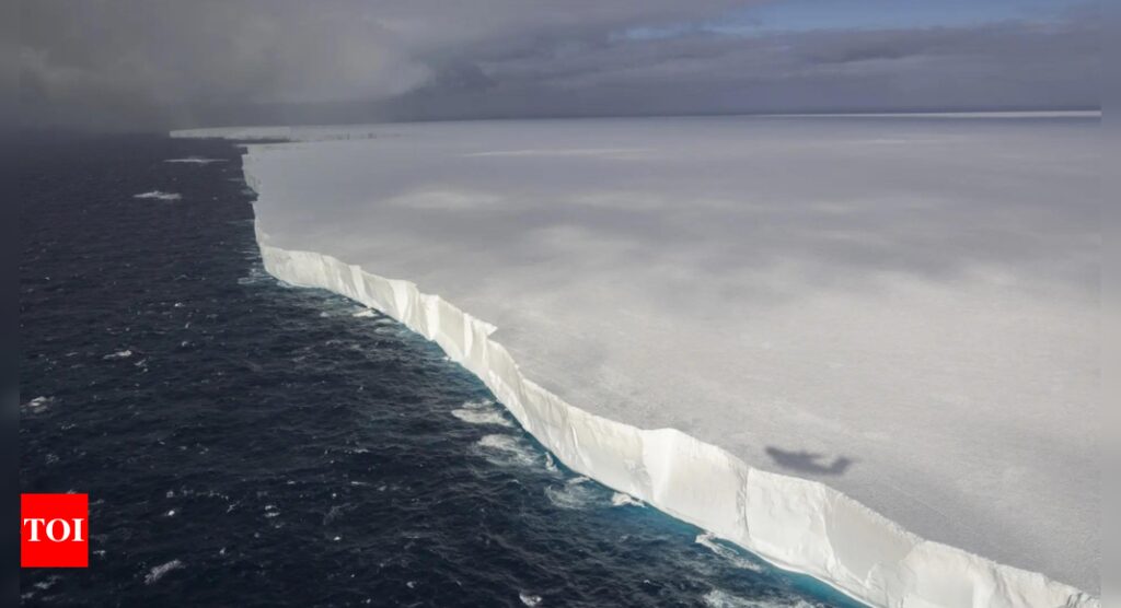 'World's biggest iceberg' drifts towards Antarctic penguin island