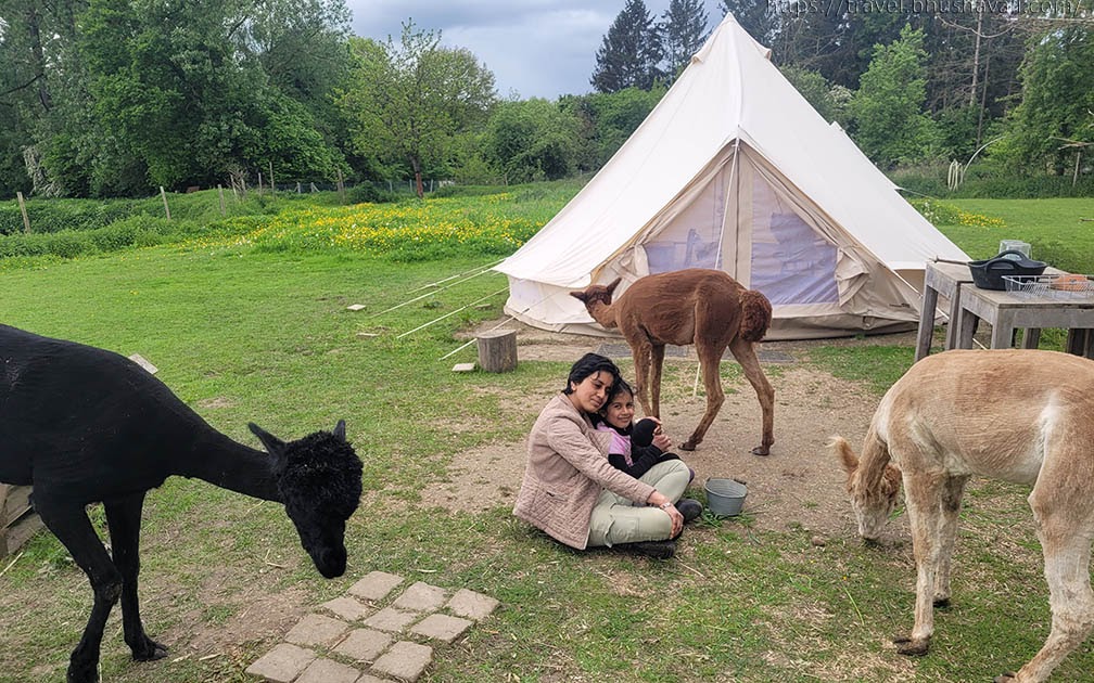 Camping near Brussels - A Beginners' Guide | My Travelogue