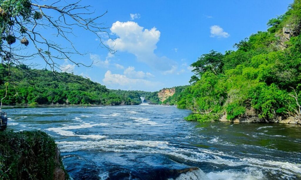 Exploring the Longest River in the World the Nile