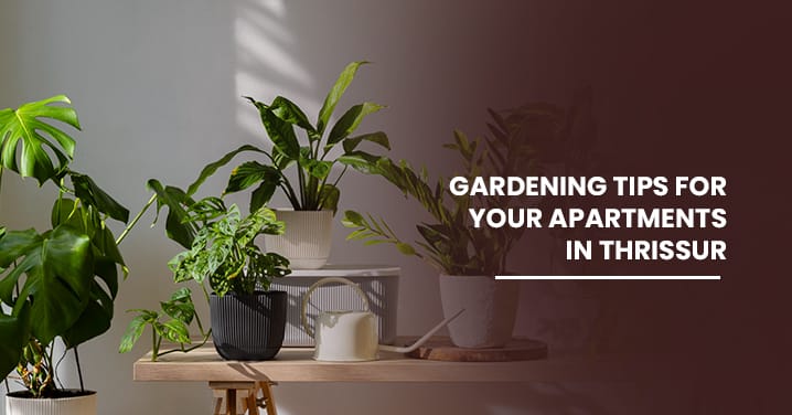 Gardening tips for your apartments in Thrissur