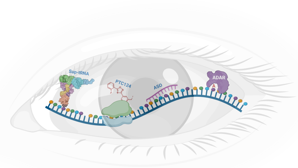 Retinal diseases: RNA therapeutics show promise but is India ready?