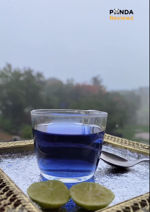 Everything You Need to Know about Blue Tea – Benefits and Side Effects | Panda Reviewz