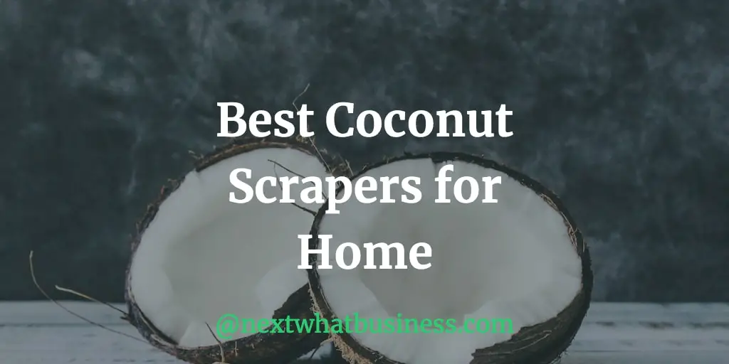 Best 10 Coconut Scrapers for Home Kitchens