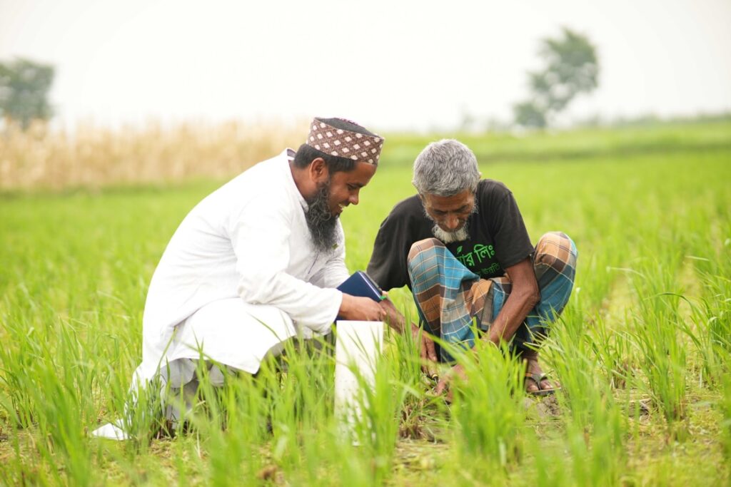 How AWD Could Transform Bangladesh's Rice Production: iFarmer's Latest Research Shows Promising Results