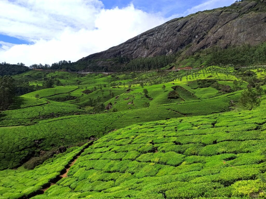 Munnar – Trip Writer