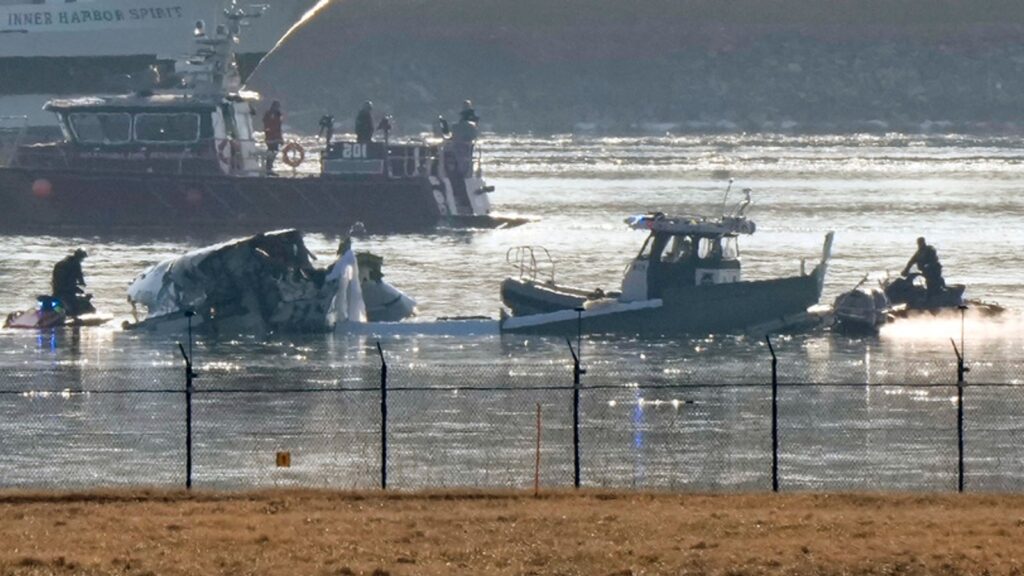 Trump suggests diversity hiring to blame for Washington plane crash - as black boxes recovered | US News