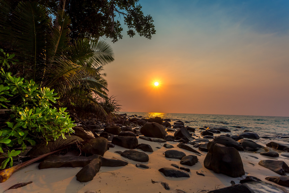 Konark Beach - A Serene Escape to the Bay of Bengal