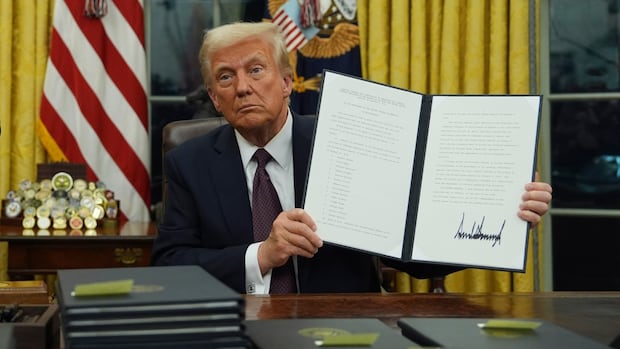 What are executive orders in the U.S. and how much power do they have?