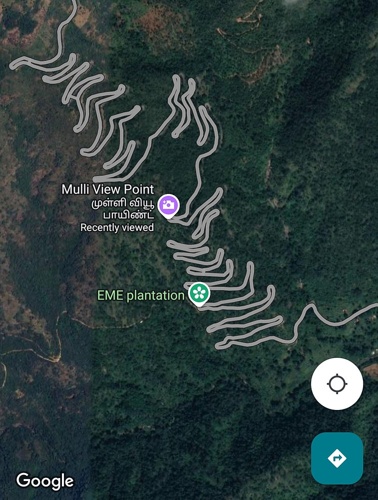 A Thrilling Day Trip from Ooty to Geddai & Kinnakorai