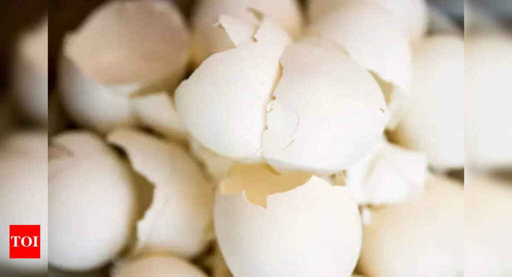 Eggshell Benefits: How to use waste egg shells for hair growth |