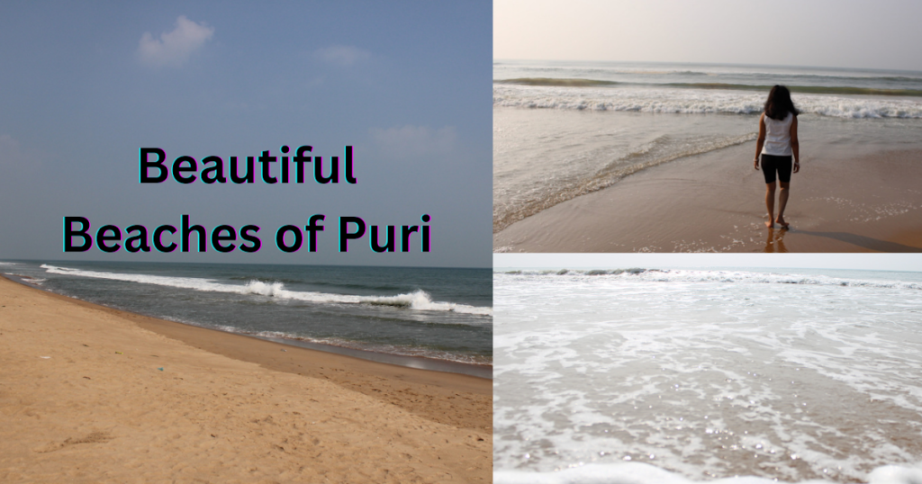 8 Best Beaches in Puri That Makes Your Puri Tour Success - Amazing Tour India