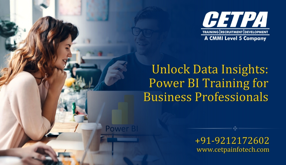 Unlock Data Insights: Power BI Training for Business Professionals