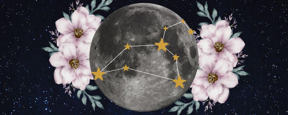 Tarot spread and astro-tarot forecast for the February 2025 full moon in Leo