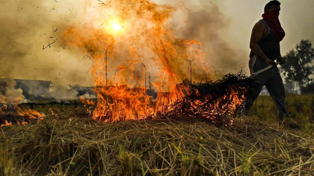 Stubble burning in Punjab, Haryana contributes only 14% of PM2.5 in Delhi-NCR: study