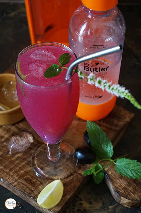 Java Plum Lemonade with Mr. Butler Sodamaker « The Secret Ingredient