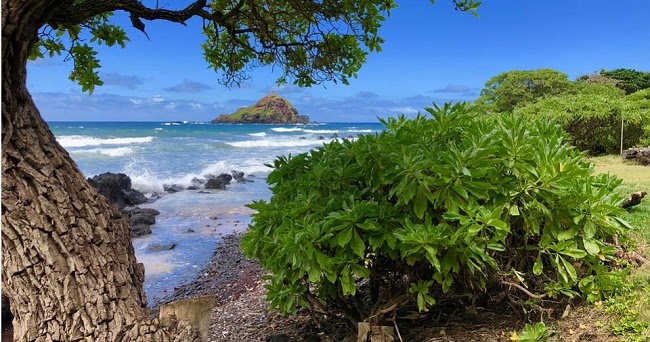 The Great Cultural Curry - Offbeat Travel Gems: Maui : Picture-Perfect Postcard Adventure Island in the Evergreen US State of Hawaii