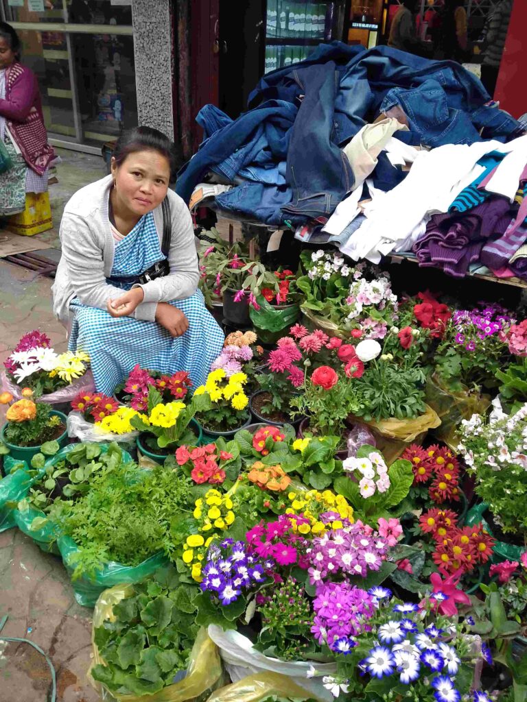 North East’s bucket list activities you cannot miss – Miss Junebug