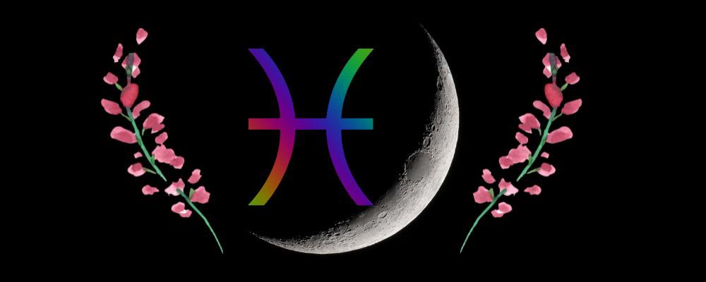 Tarot spread and astro-tarot forecast for the February 2025 new moon in Pisces