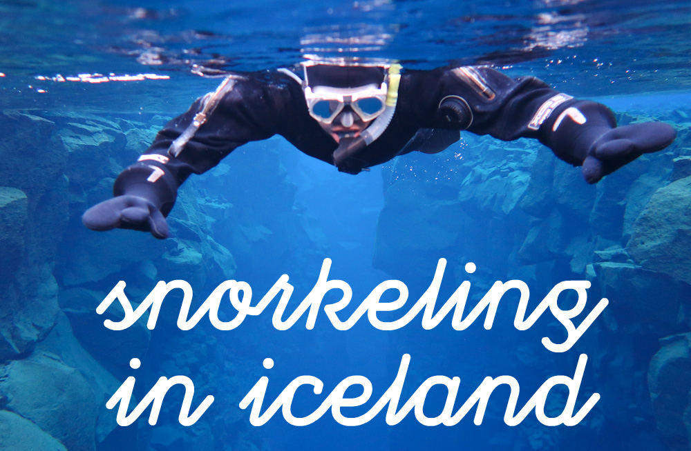 Snorkeling Between Continents in Iceland