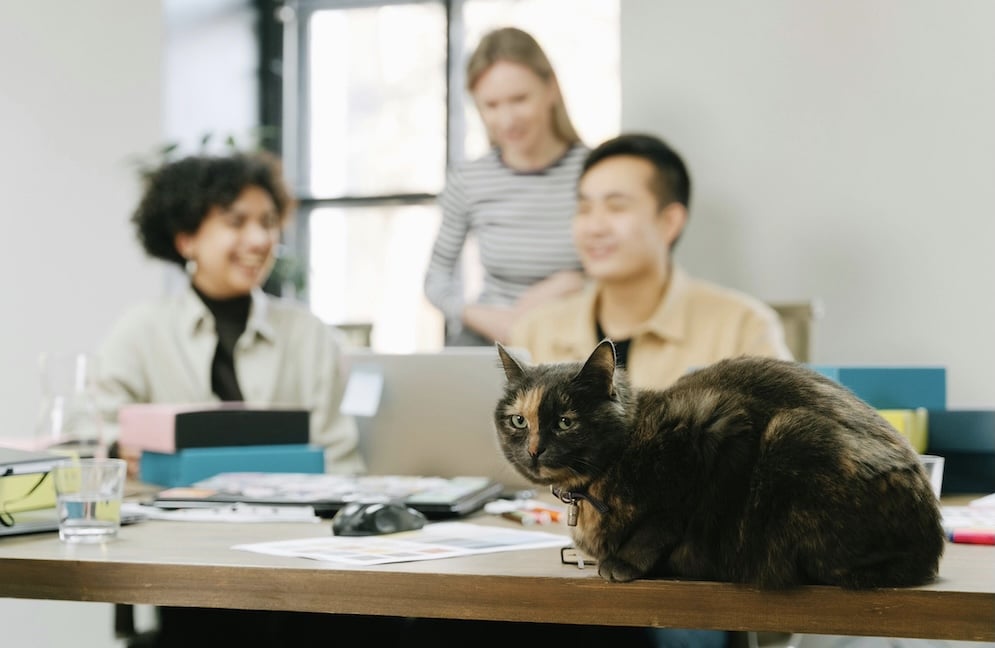 The Benefits and Challenges of Bringing Therapy Animals to Work