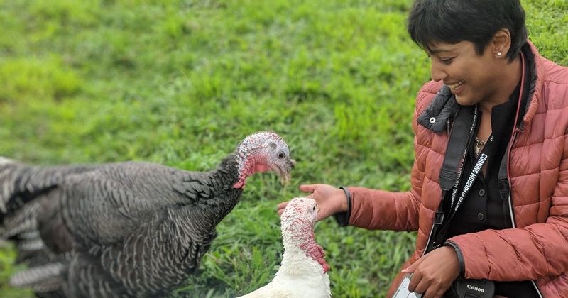 Watkins Glen | Neaby Excursions - Apple Farm, Animal Sanctuary