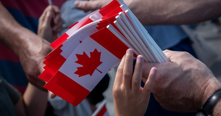 ‘Proud of our country’: Pride in Canadian flag surges as battle with Trump continues