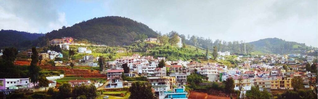 5 Best Things To Buy in Ooty