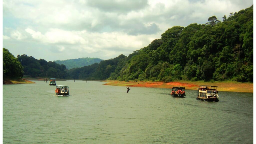 Thekkady Boating In 2025-Online Booking, Timings, Cost, Fare For Foreigners And Indians (Updated) – Iris Holidays