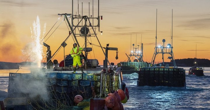 China tariffs on Canadian seafood add to trade uncertainty