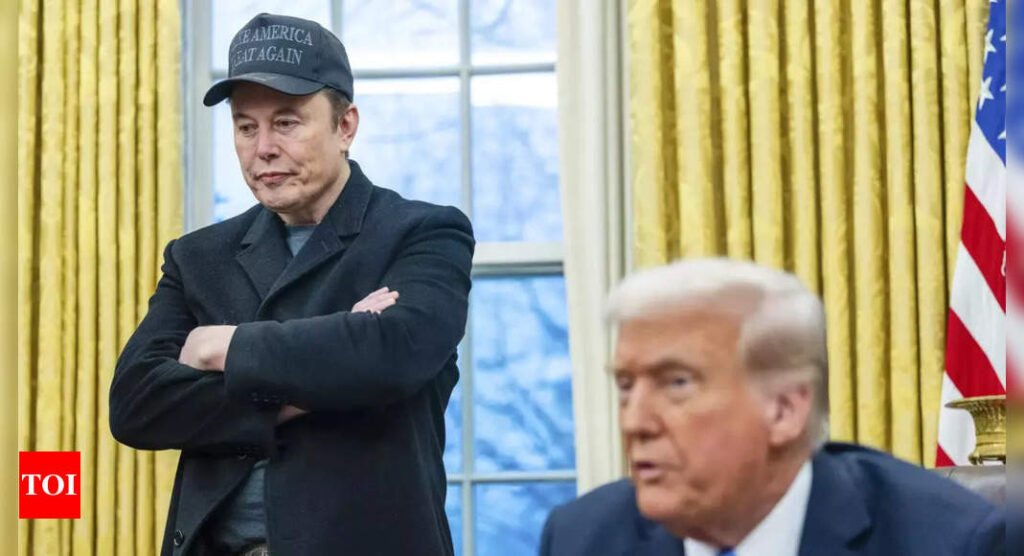 Donald Trump clips Elon Musk's wings amid MAGA disquiet, turning his hatchet into scalpel