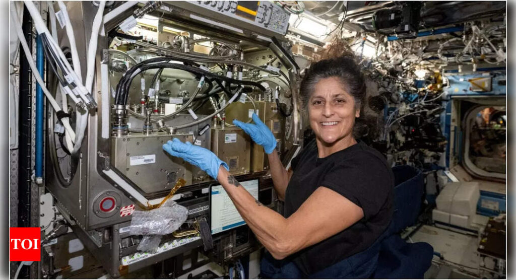 Garden watering, making microbes: What kept Nasa astronaut Sunita Williams busy in space?
