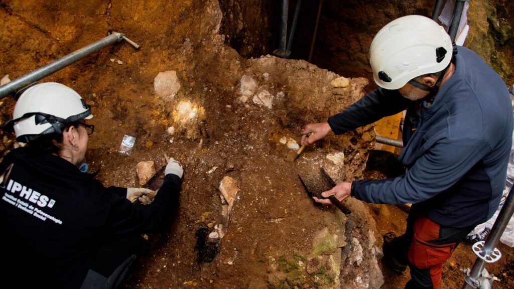 Spanish fossils may represent unknown ancient human species