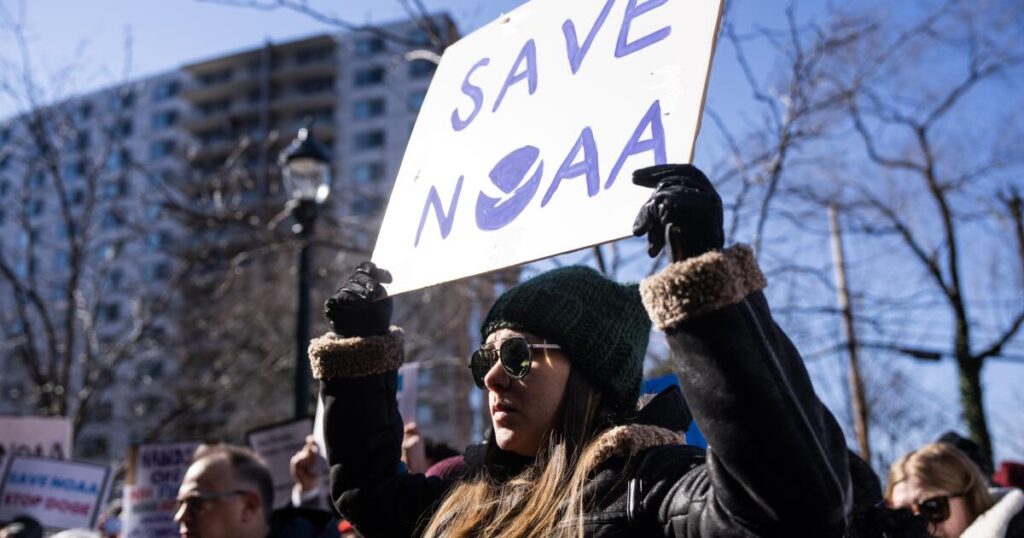 Fired federal workers can fight their dismissals, but there's a catch