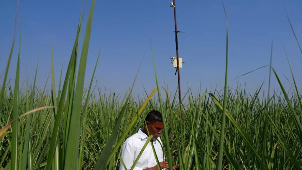 How AI is Transforming Farming in India: The Baramati Experiment