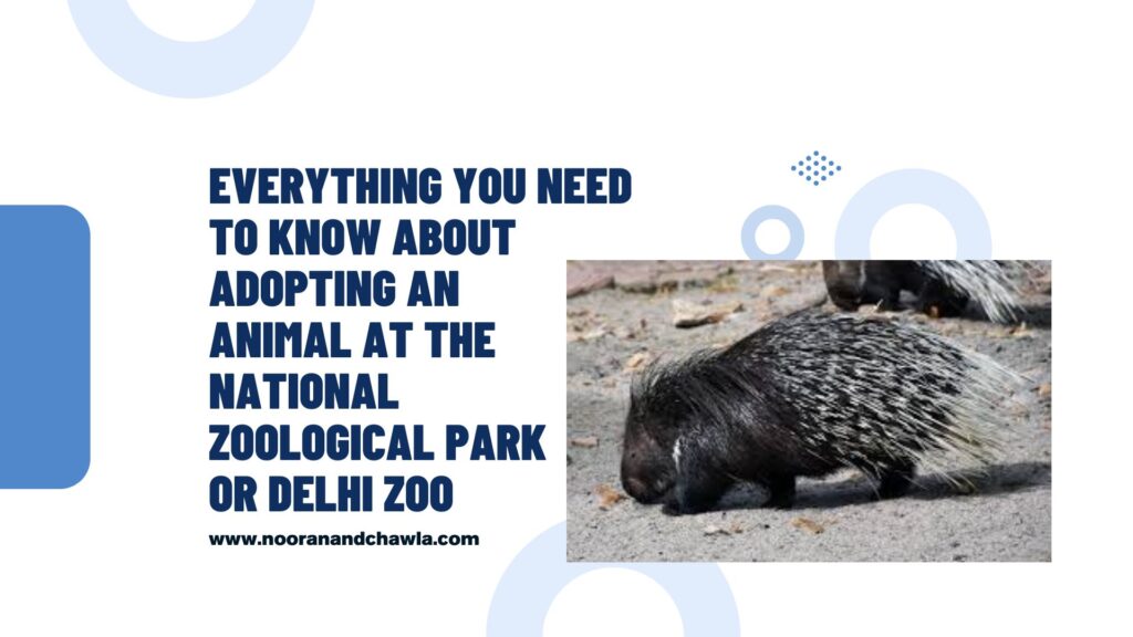 Everything to Know About Adopting an Animal at the Delhi Zoo