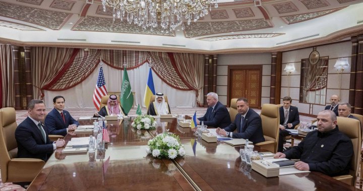 Ukraine agrees to 30-day ceasefire proposal, U.S. to restart military aid - National
