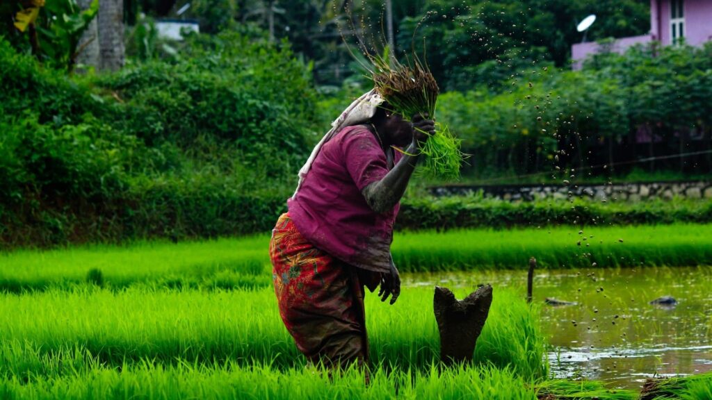 Worst Month To Visit Kerala-What Nobody Tells You ?
