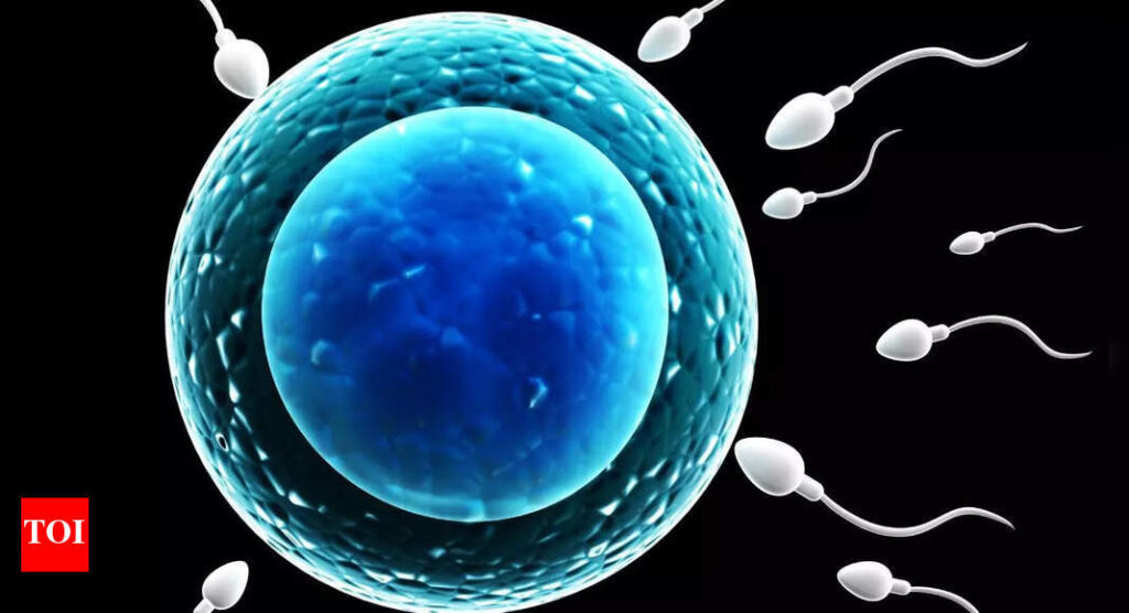 World's first sperm race in Los Angeles brings male fertility into public spotlight |