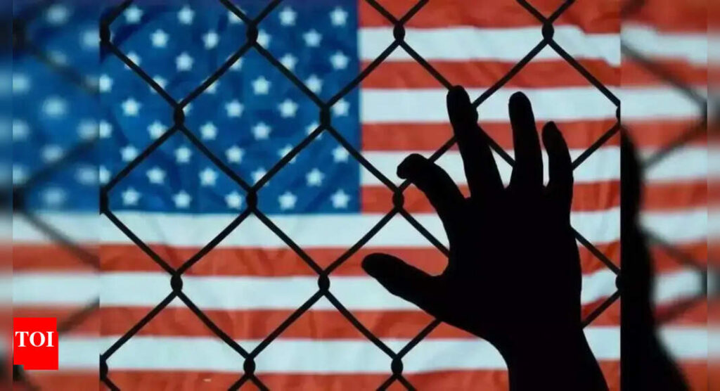 Georgia district court provides interim relief: Blocks termination of legal status of 133 international students