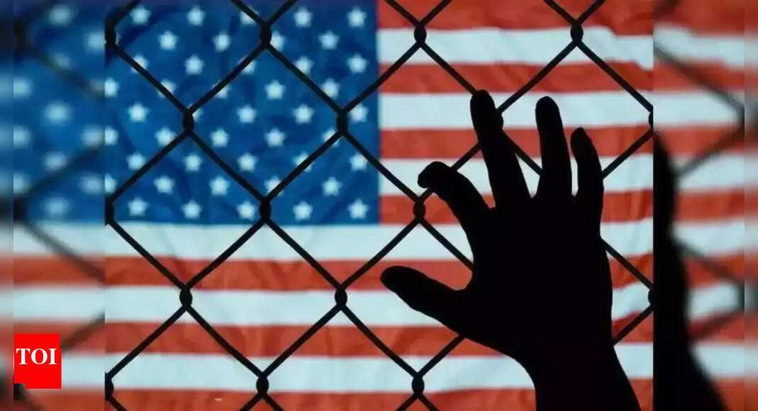Georgia district court provides interim relief: Blocks termination of legal status of 133 international students