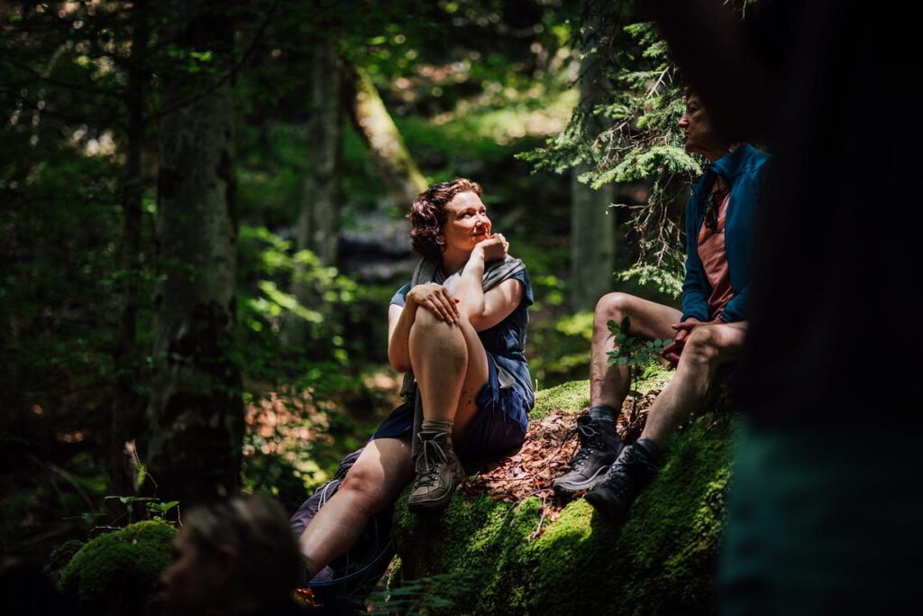 Harnessing nature’s boardroom. When we feel adrift in our purpose —… | by Laurence McCahill | The Happy Startup School | Apr, 2025