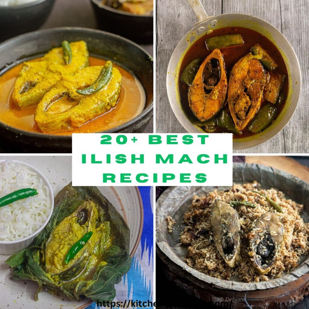 %20+ Best Ilish Mach Recipes Collection Debjanir Rannaghar