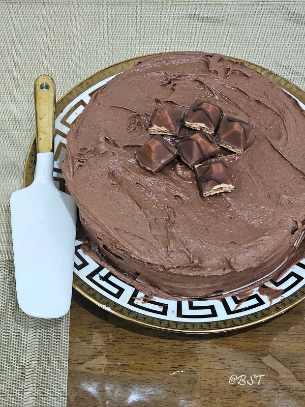 Malted Chocolate Cake | Chocolate Malt Cake {One Bowl}