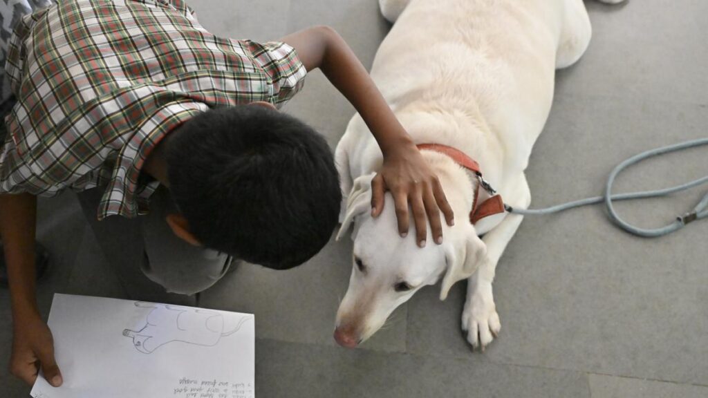 At this special school in Chennai, dogs help students build social skills