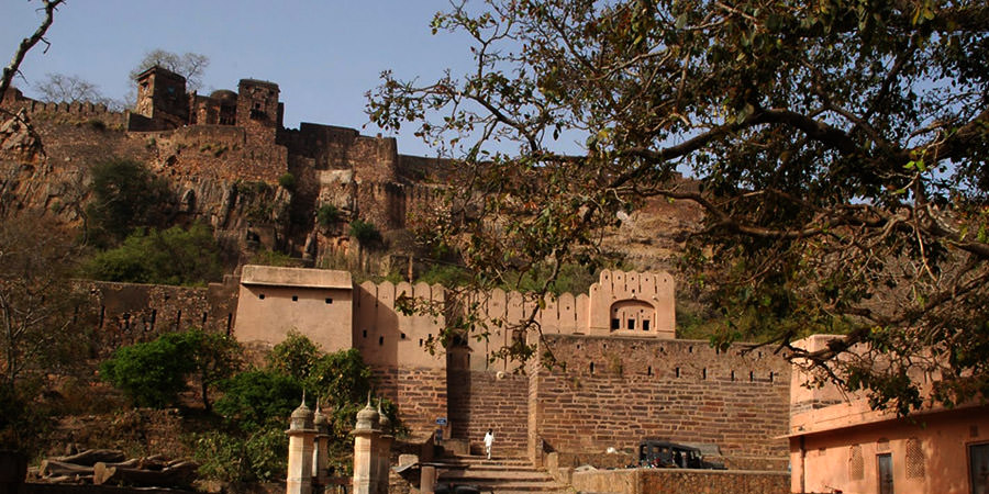 Where Ancient Royalty Meets Wild Adventures