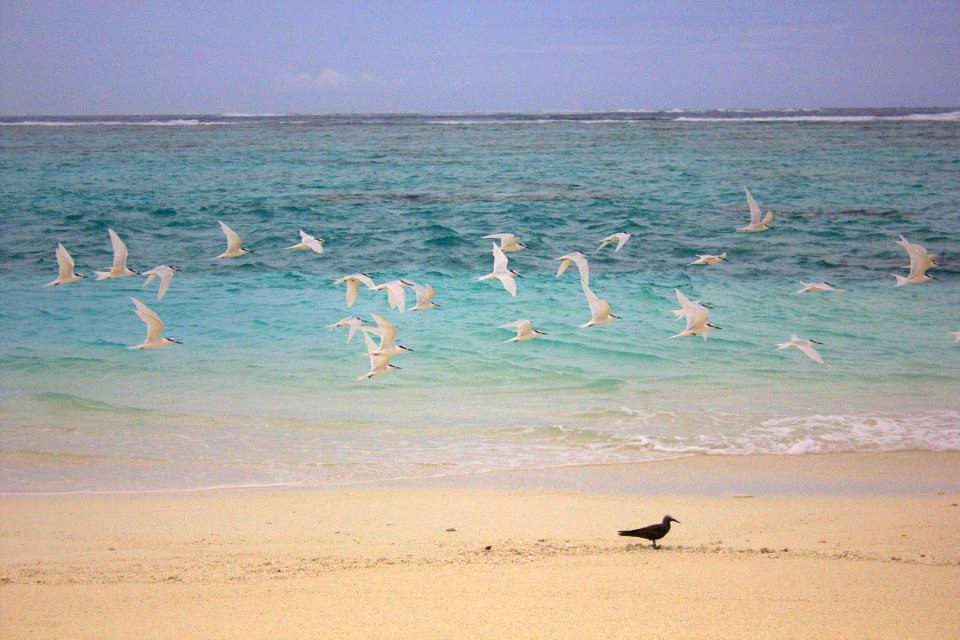 Dominican Republic Expat Insurance Options