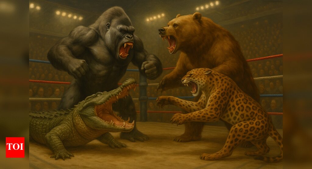 Animals More Dangerous Than Gorilla: Five animals that would destroy a silverback gorilla |