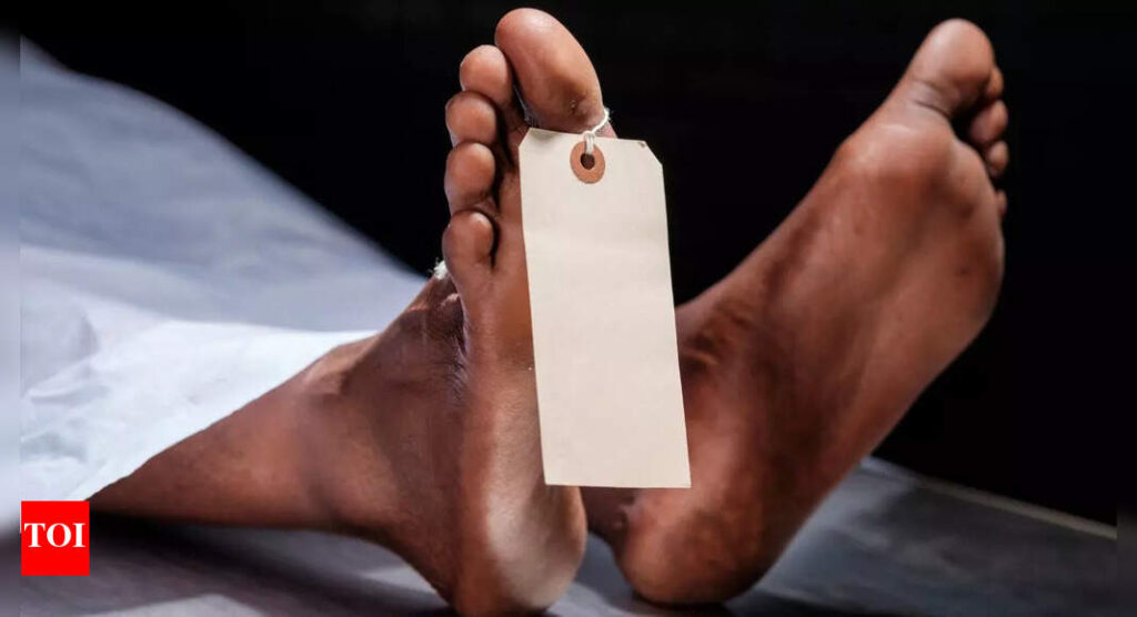 Is death just an illusion? Here's what quantum physics reveals about life, death, and consciousness |