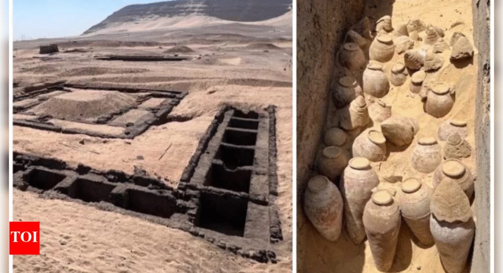 5,000-year-old sealed wine jars discovered in Egypt to reveal science of ancient wine making |