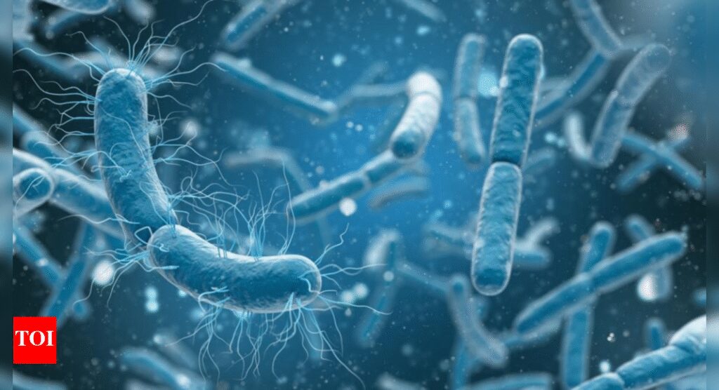 Scientists discover bacteria that 'breathe' electricity instead of oxygen |